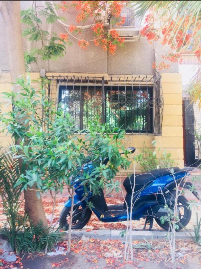 Home In The City Il Il Cairo Esterno foto